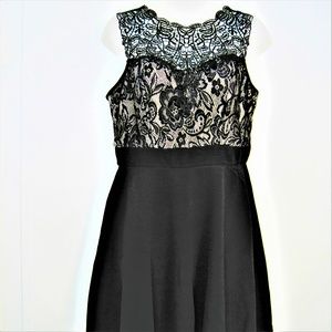 PAPER DOLL NWT DRESS sz L BLACK
